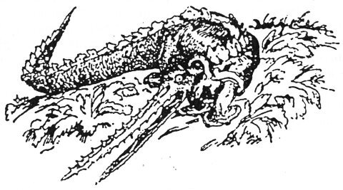 Чужая жизнь - i_012.jpg