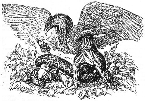 Чужая жизнь - i_014.jpg