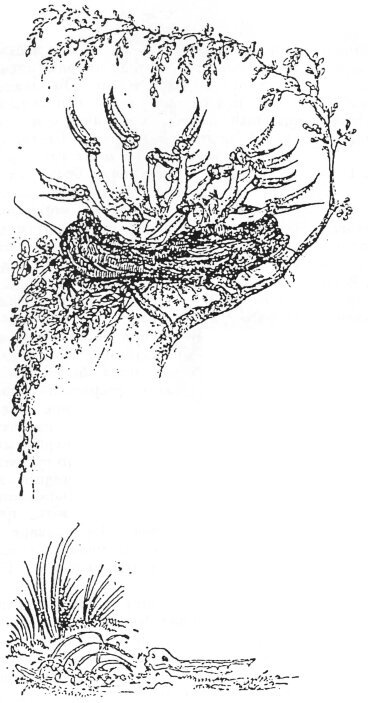 Чужая жизнь - i_015.jpg