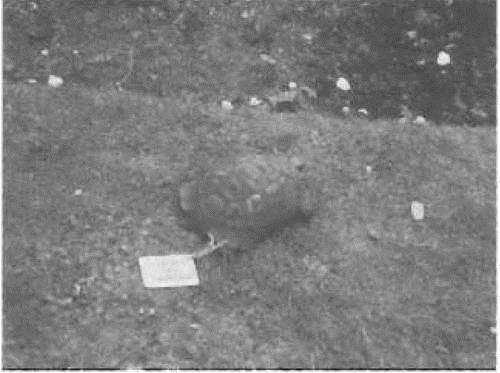 Противостояние - i_102.jpg