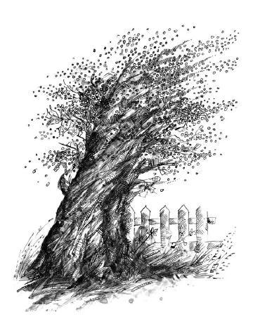 Дана і дракон - i_019.jpg