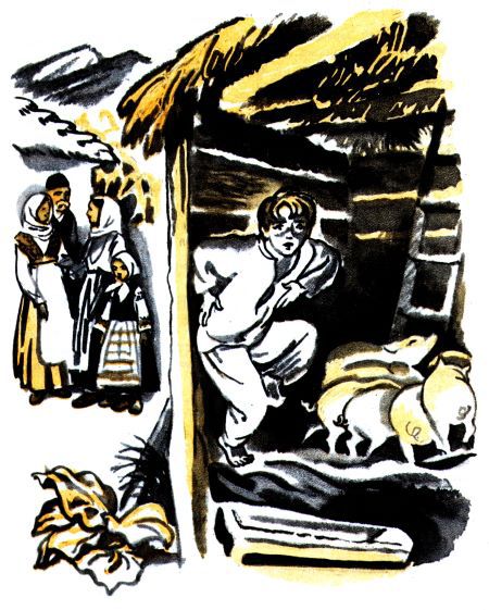 Ноги в поле, голова на воле - i_003.jpg