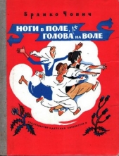 Читать книгу Ноги в поле, голова на воле - автор Чопич Бранко Ноги в поле, голова на воле - автор Чопич Бранко