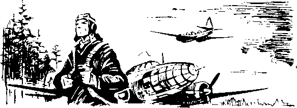 Под крыльями — ночь - i_005.png