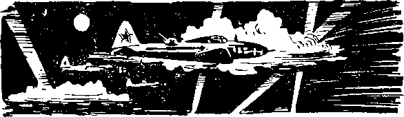 Под крыльями — ночь - i_007.png