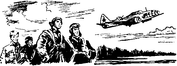 Под крыльями — ночь - i_008.png