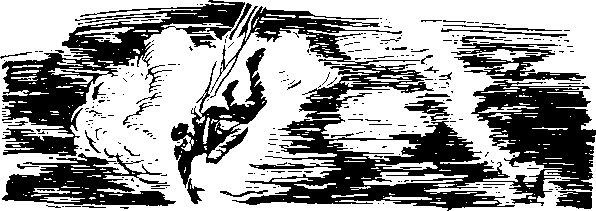 Под крыльями — ночь - i_009.png