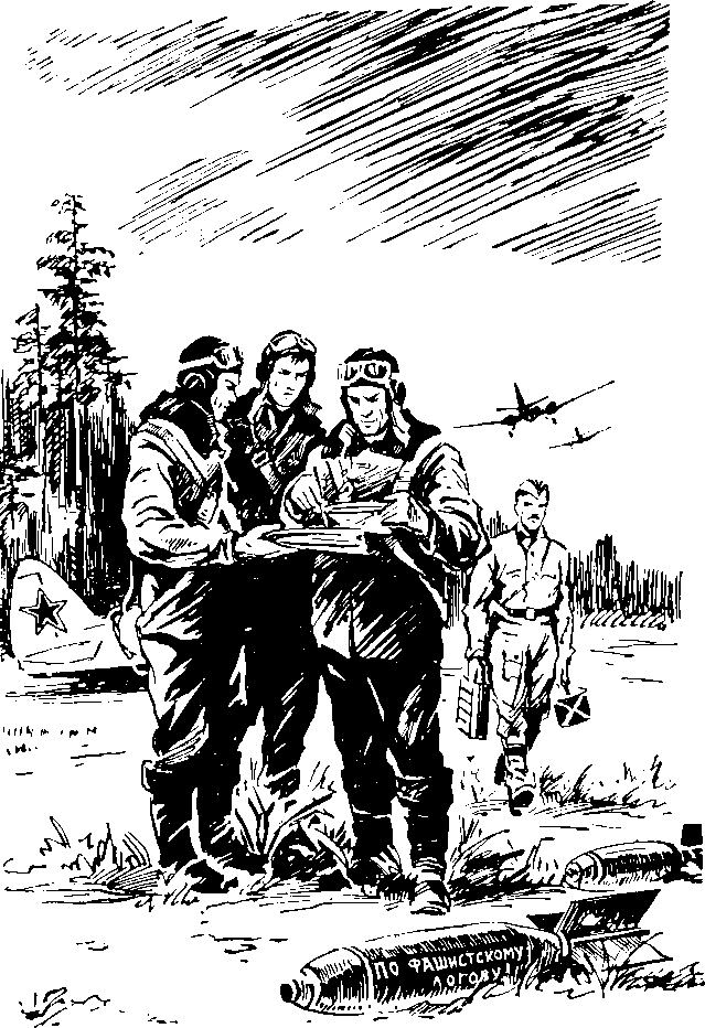 Под крыльями — ночь - i_011.png