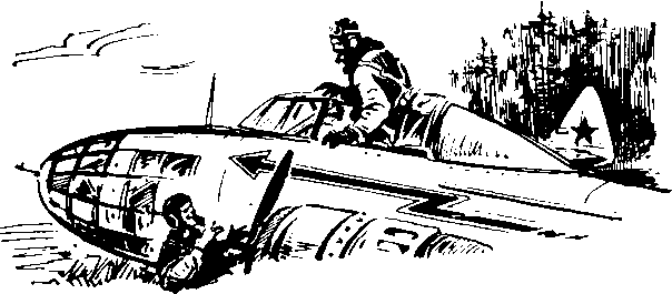 Под крыльями — ночь - i_019.png