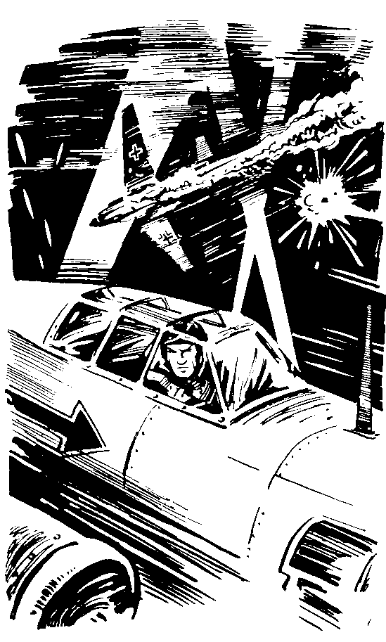 Под крыльями — ночь - i_020.png