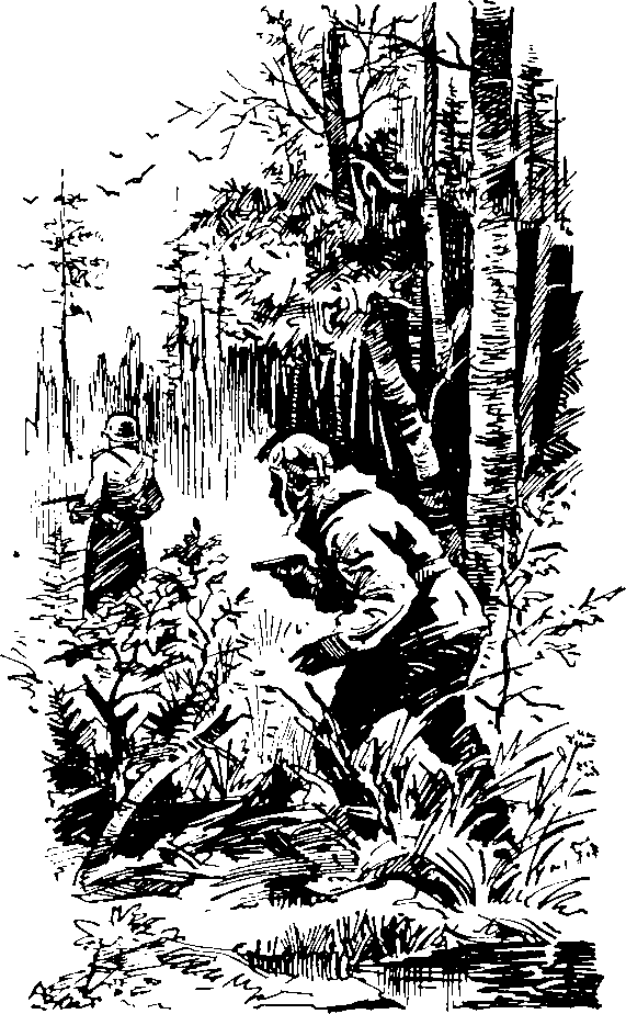 Под крыльями — ночь - i_022.png