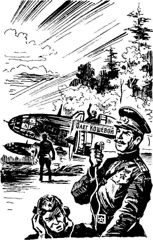 Под крыльями — ночь - i_028.png