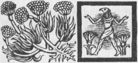 Необыкновенный консилиум - _25.jpg