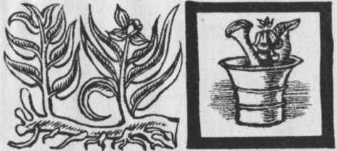 Необыкновенный консилиум - _4.jpg