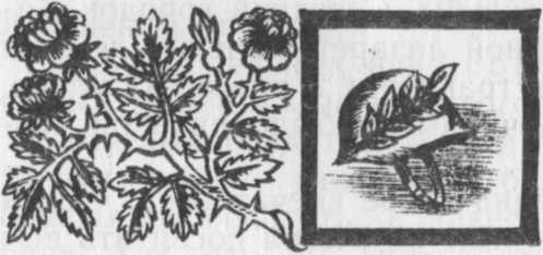 Необыкновенный консилиум - _53.jpg