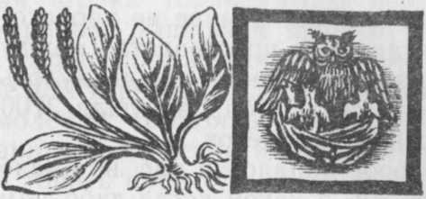 Необыкновенный консилиум - _54.jpg