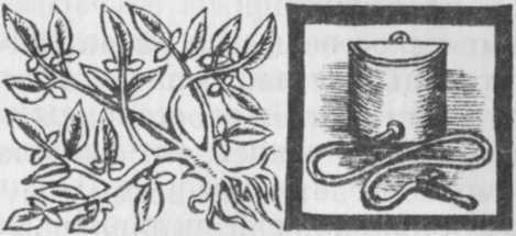 Необыкновенный консилиум - _65.jpg