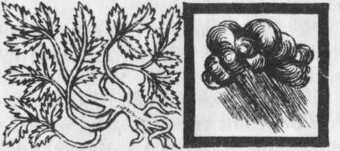 Необыкновенный консилиум - _66.jpg