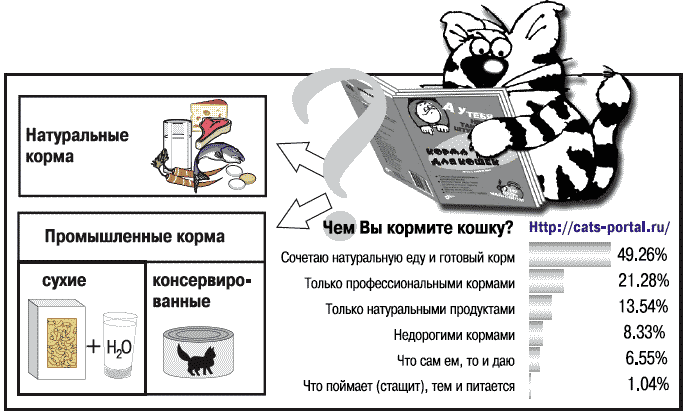 Корма для кошек - _005.png