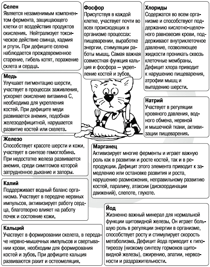 Корма для кошек - t017.png