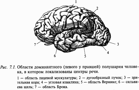 Основы нейрофизиологии - i_62.png