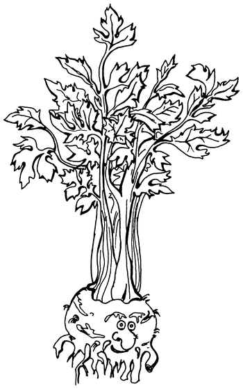 Растения, побеждающие боль. Дача — вылечит, дача — исцелит - i_012.png