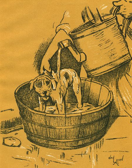 Бобкин день - i_004.jpg