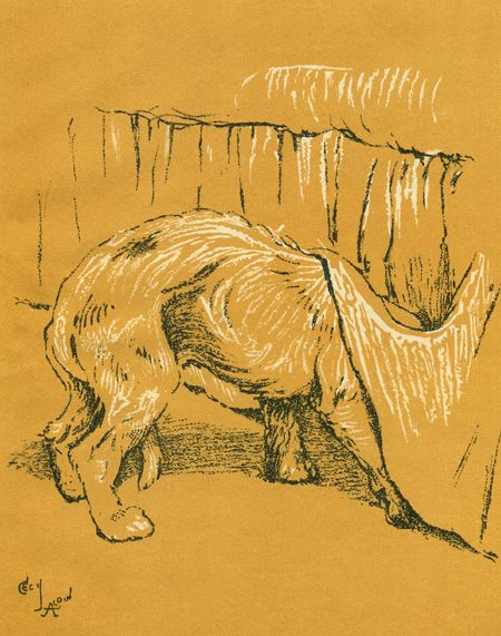 Бобкин день - i_008.jpg