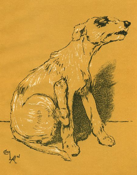 Бобкин день - i_010.jpg