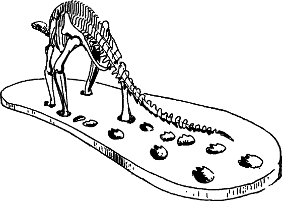 Диковинные звери - i_006.png