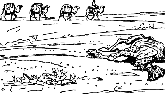 Диковинные звери - i_007.png