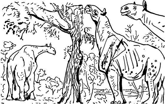 Диковинные звери - i_012.png