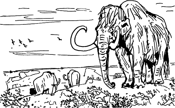 Диковинные звери - i_018.png