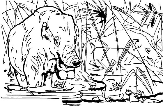 Диковинные звери - i_020.png