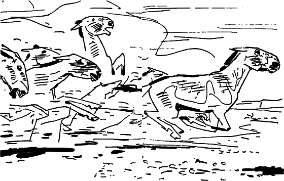 Диковинные звери - i_025.png