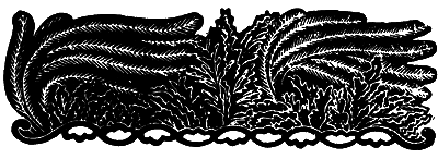 Джангар - i_002.png