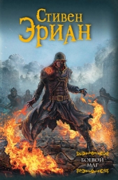 Боевой маг - автор Эриан Стивен 