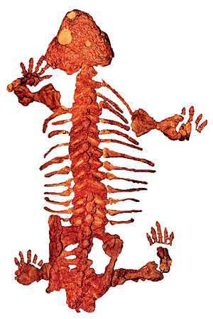 Сибирь. Путеводитель - i_102.jpg