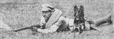 Курс теории дрессировки собак. Военная собака - i_004.jpg