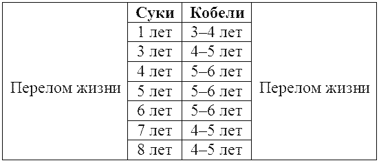 Курс теории дрессировки собак. Военная собака - i_024.png
