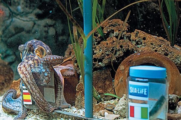 Футбол спасет Россию. Почему закончилась эпоха паразитов и что ждет нас дальше? - _17.jpg