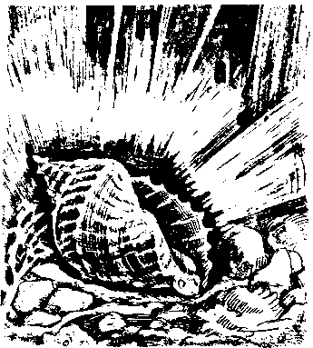 Мифы и герои Древней Руси - image6.png