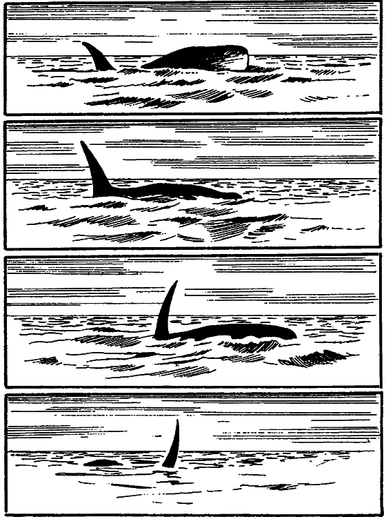 Существуют ли морские чудовища? - i_005.png