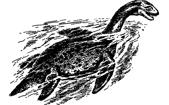 Существуют ли морские чудовища? - i_011.png