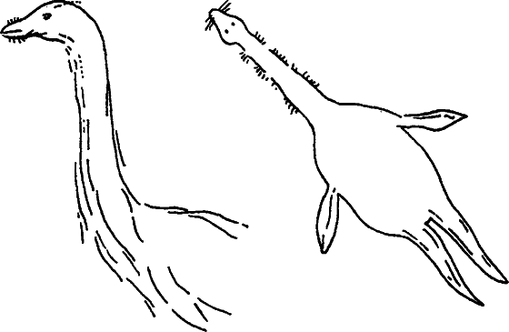 Существуют ли морские чудовища? - i_018.png