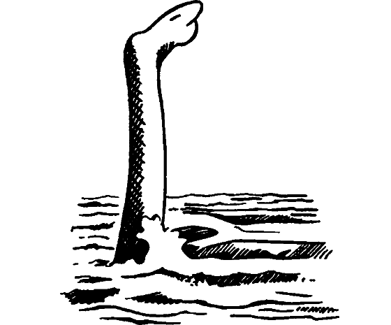 Существуют ли морские чудовища? - i_019.png