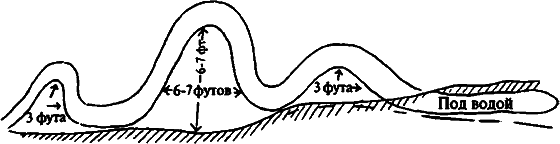 Существуют ли морские чудовища? - i_027.png