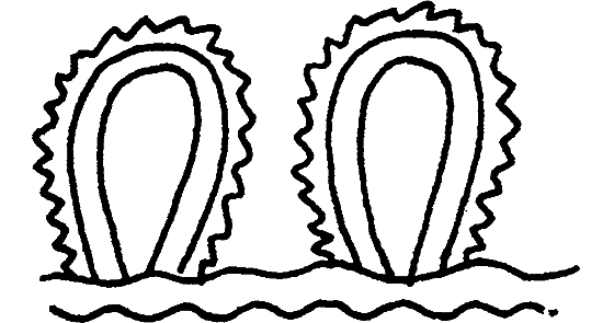 Существуют ли морские чудовища? - i_028.png