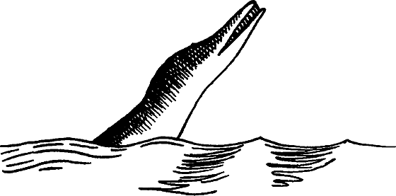 Существуют ли морские чудовища? - i_070.png