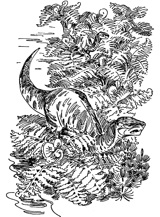 Краснокожая хищница - i_002.png